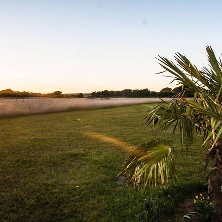 Gite Au Pied Des Dunes, 200M De La Plage Villa Montmartin-sur-Mer Екстериор снимка