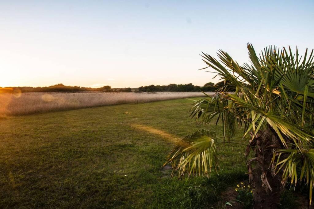 Gite Au Pied Des Dunes, 200M De La Plage Villa Montmartin-sur-Mer Екстериор снимка